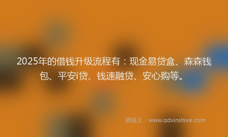 2025年的借钱升级流程有：现金易贷盒、森森钱包、平安i贷、钱速融贷、安心购等。