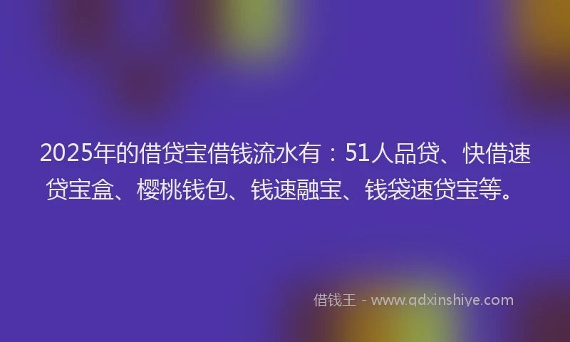2025年的借贷宝借钱流水有：51人品贷、快借速贷宝盒、樱桃钱包、钱速融宝、钱袋速贷宝等。