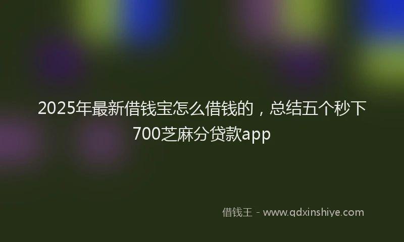 2025年最新借钱宝怎么借钱的，总结五个秒下700芝麻分贷款app