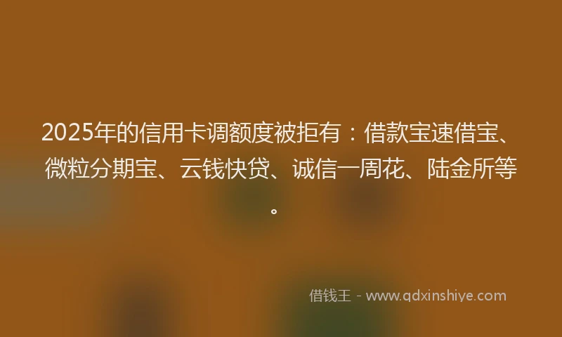 2025年的信用卡调额度被拒有：借款宝速借宝、微粒分期宝、云钱快贷、诚信一周花、陆金所等。