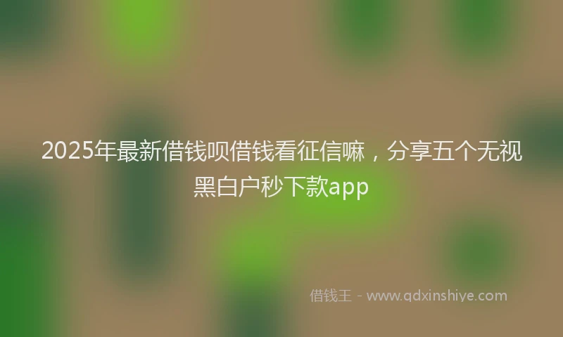 2025年最新借钱呗借钱看征信嘛，分享五个无视黑白户秒下款app