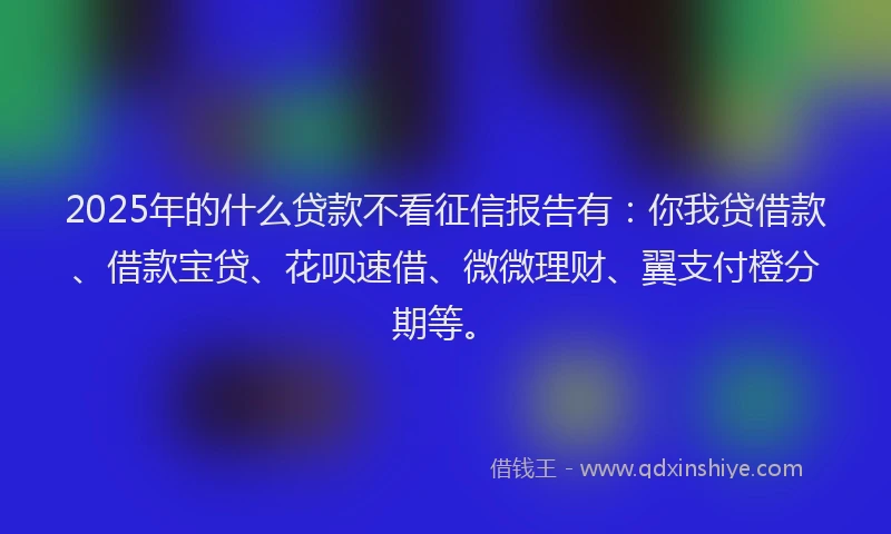 2025年的什么贷款不看征信报告有：你我贷借款、借款宝贷、花呗速借、微微理财、翼支付橙分期等。