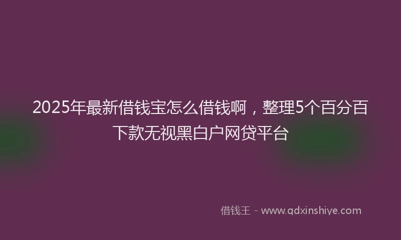 2025年最新借钱宝怎么借钱啊，整理5个百分百下款无视黑白户网贷平台