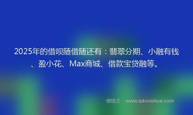 2025年的借呗随借随还有：翡翠分期、小融有钱、盈小花、Max商城、借款宝贷融等。