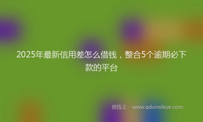 2025年最新信用差怎么借钱，整合5个逾期必下款的平台