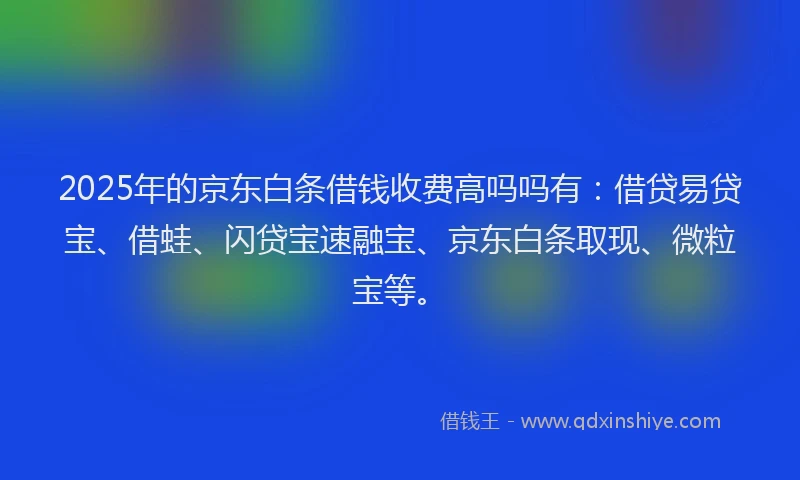 2025年的京东白条借钱收费高吗吗有：借贷易贷宝、借蛙、闪贷宝速融宝、京东白条取现、微粒宝等。