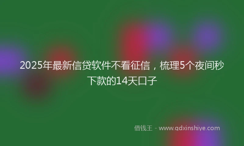 2025年最新信贷软件不看征信，梳理5个夜间秒下款的14天口子