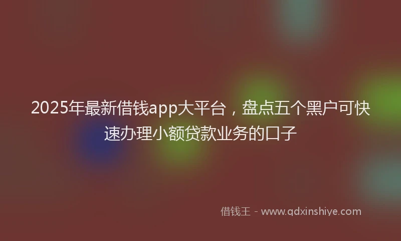2025年最新借钱app大平台，盘点五个黑户可快速办理小额贷款业务的口子