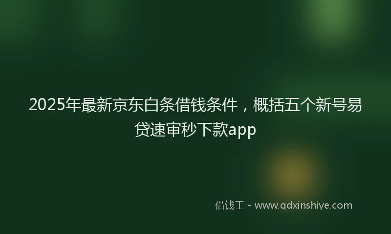 2025年最新京东白条借钱条件，概括五个新号易贷速审秒下款app