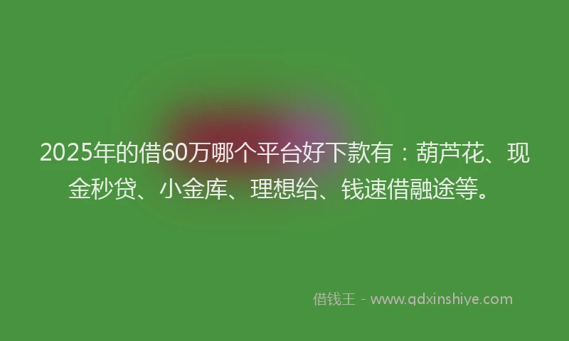 2025年的借60万哪个平台好下款有：葫芦花、现金秒贷、小金库、理想给、钱速借融途等。