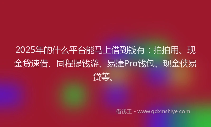 2025年的什么平台能马上借到钱有：拍拍用、现金贷速借、同程提钱游、易捷Pro钱包、现金侠易贷等。