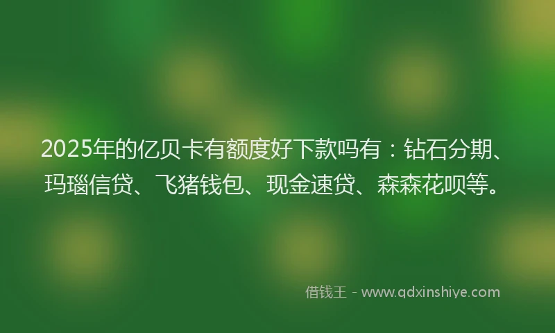 2025年的亿贝卡有额度好下款吗有：钻石分期、玛瑙信贷、飞猪钱包、现金速贷、森森花呗等。