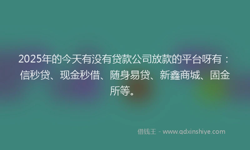 2025年的今天有没有贷款公司放款的平台呀有：信秒贷、现金秒借、随身易贷、新鑫商城、固金所等。
