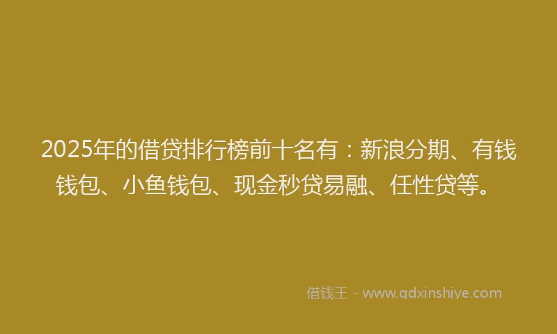 2025年的借贷排行榜前十名有：新浪分期、有钱钱包、小鱼钱包、现金秒贷易融、任性贷等。