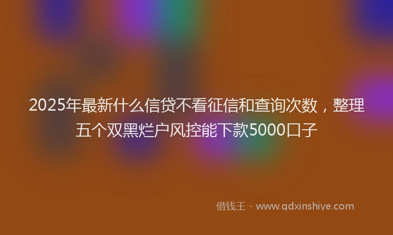 2025年最新什么信贷不看征信和查询次数，整理五个双黑烂户风控能下款5000口子