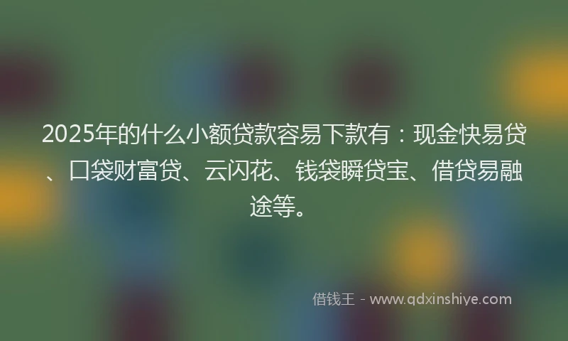 2025年的什么小额贷款容易下款有：现金快易贷、口袋财富贷、云闪花、钱袋瞬贷宝、借贷易融途等。