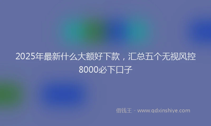 2025年最新什么大额好下款，汇总五个无视风控8000必下口子