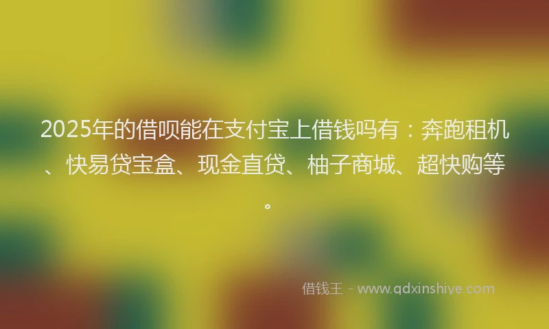 2025年的借呗能在支付宝上借钱吗有：奔跑租机、快易贷宝盒、现金直贷、柚子商城、超快购等。