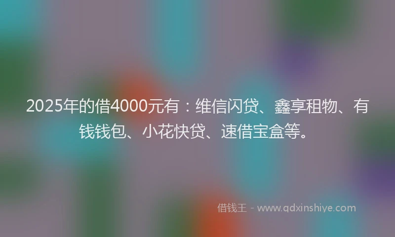 2025年的借4000元有：维信闪贷、鑫享租物、有钱钱包、小花快贷、速借宝盒等。