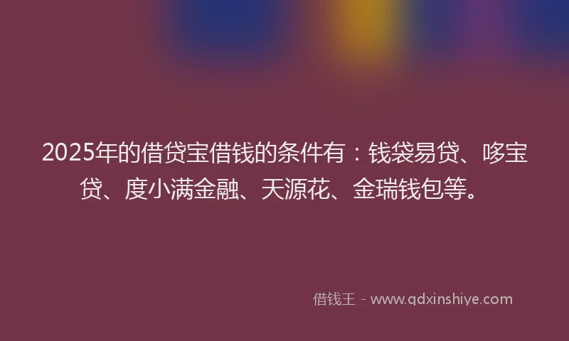 2025年的借贷宝借钱的条件有：钱袋易贷、哆宝贷、度小满金融、天源花、金瑞钱包等。