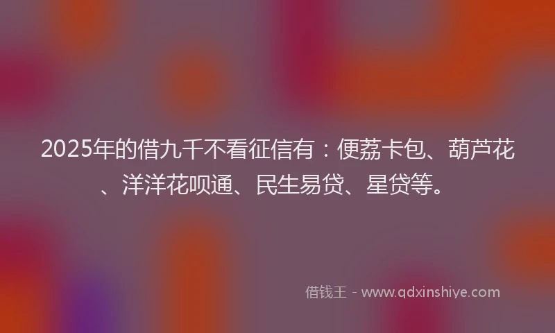 2025年的借九千不看征信有：便荔卡包、葫芦花、洋洋花呗通、民生易贷、星贷等。