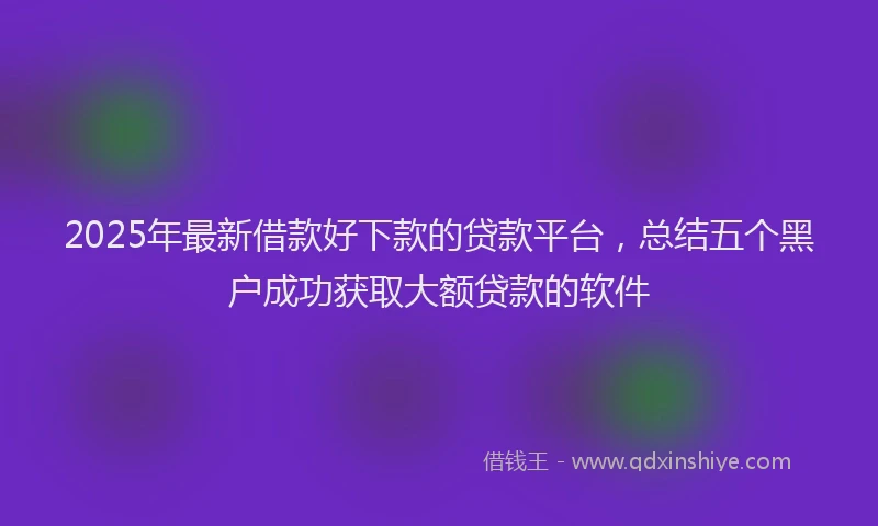 2025年最新借款好下款的贷款平台，总结五个黑户成功获取大额贷款的软件