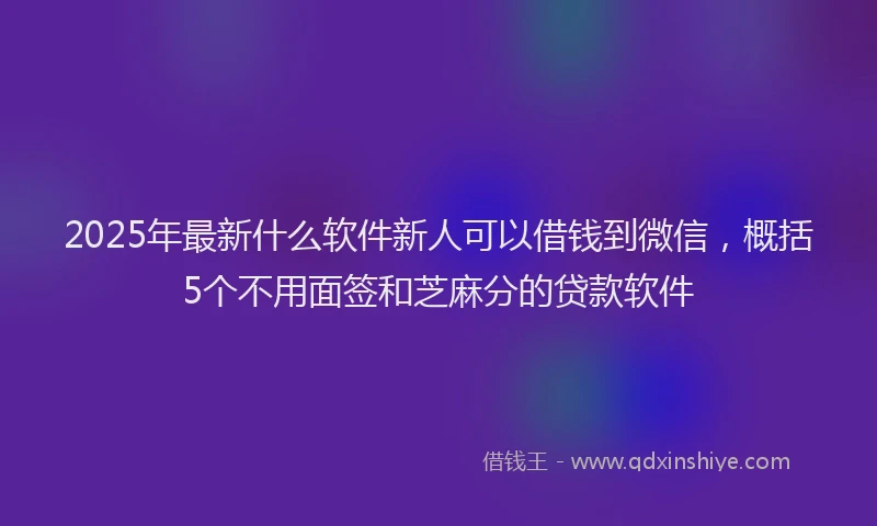 2025年最新什么软件新人可以借钱到微信，概括5个不用面签和芝麻分的贷款软件