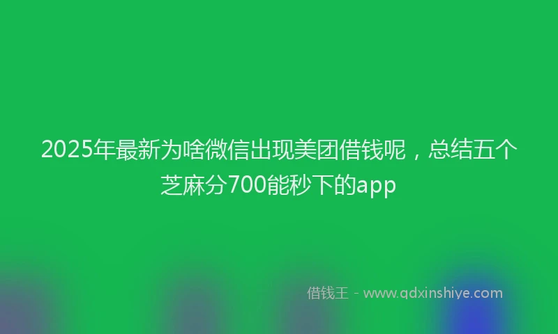 2025年最新为啥微信出现美团借钱呢，总结五个芝麻分700能秒下的app