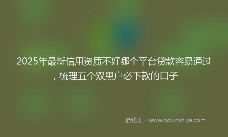 2025年最新信用资质不好哪个平台贷款容易通过，梳理五个双黑户必下款的口子