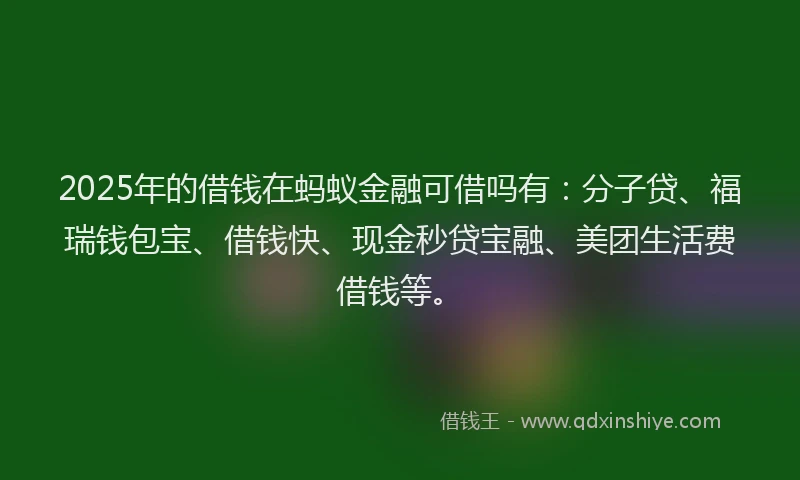 2025年的借钱在蚂蚁金融可借吗有：分子贷、福瑞钱包宝、借钱快、现金秒贷宝融、美团生活费借钱等。