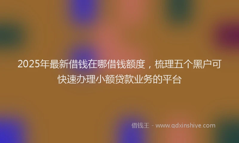 2025年最新借钱在哪借钱额度，梳理五个黑户可快速办理小额贷款业务的平台