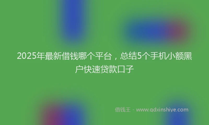 2025年最新借钱哪个平台，总结5个手机小额黑户快速贷款口子