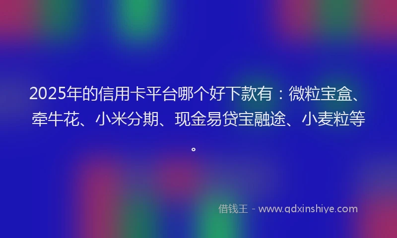 2025年的信用卡平台哪个好下款有：微粒宝盒、牵牛花、小米分期、现金易贷宝融途、小麦粒等。