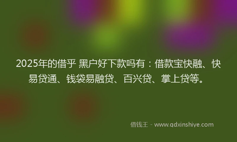 2025年的借乎 黑户好下款吗有：借款宝快融、快易贷通、钱袋易融贷、百兴贷、掌上贷等。