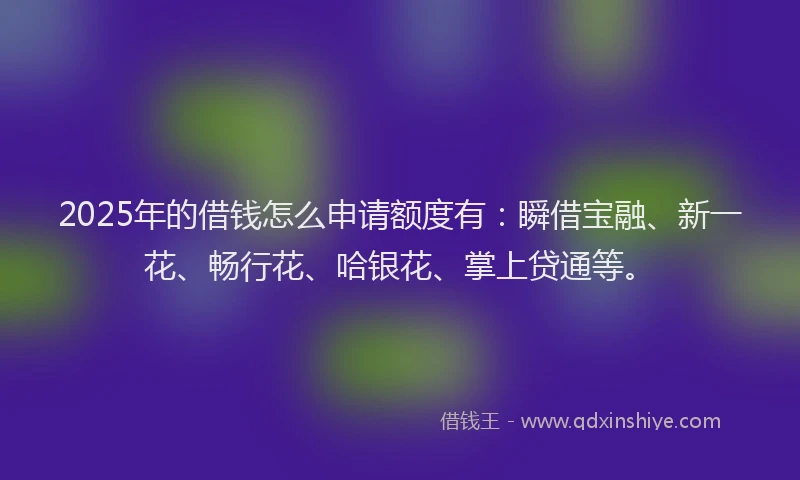 2025年的借钱怎么申请额度有：瞬借宝融、新一花、畅行花、哈银花、掌上贷通等。