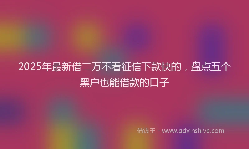 2025年最新借二万不看征信下款快的，盘点五个黑户也能借款的口子
