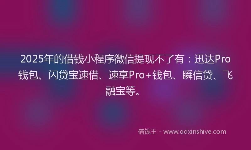 2025年的借钱小程序微信提现不了有：迅达Pro钱包、闪贷宝速借、速享Pro+钱包、瞬信贷、飞融宝等。
