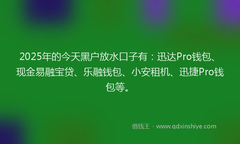 2025年的今天黑户放水口子有：迅达Pro钱包、现金易融宝贷、乐融钱包、小安租机、迅捷Pro钱包等。