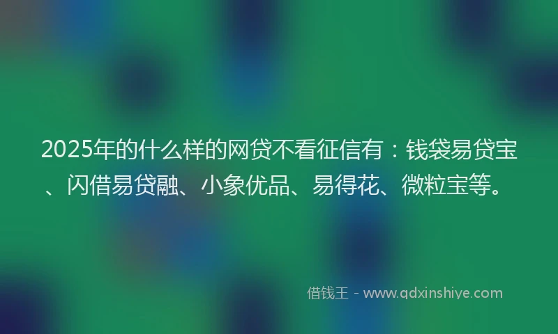 2025年的什么样的网贷不看征信有：钱袋易贷宝、闪借易贷融、小象优品、易得花、微粒宝等。
