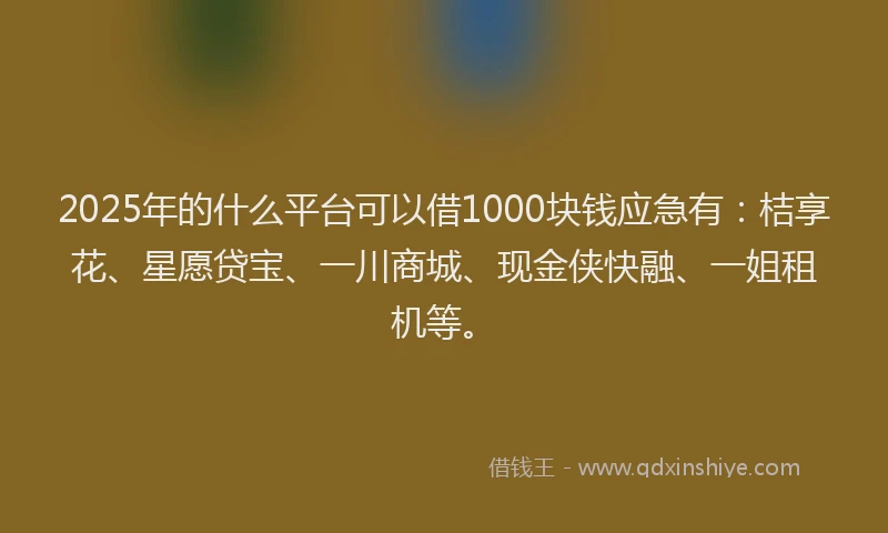 2025年的什么平台可以借1000块钱应急有：桔享花、星愿贷宝、一川商城、现金侠快融、一姐租机等。