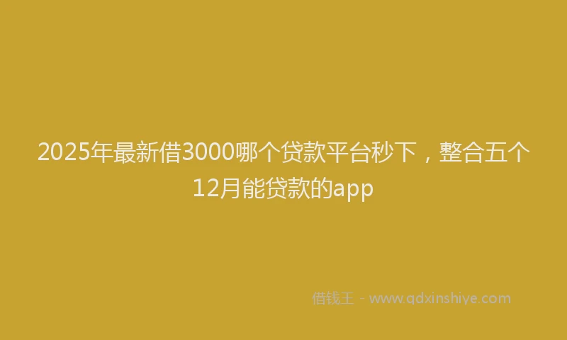 2025年最新借3000哪个贷款平台秒下，整合五个12月能贷款的app