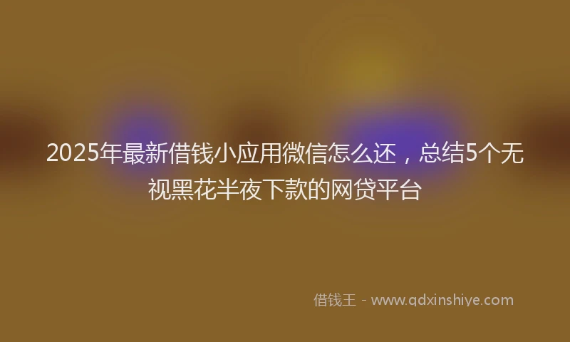 2025年最新借钱小应用微信怎么还，总结5个无视黑花半夜下款的网贷平台