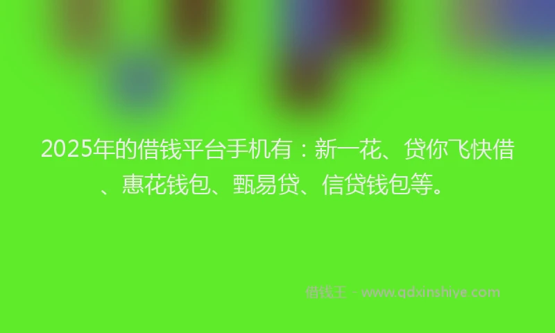 2025年的借钱平台手机有：新一花、贷你飞快借、惠花钱包、甄易贷、信贷钱包等。