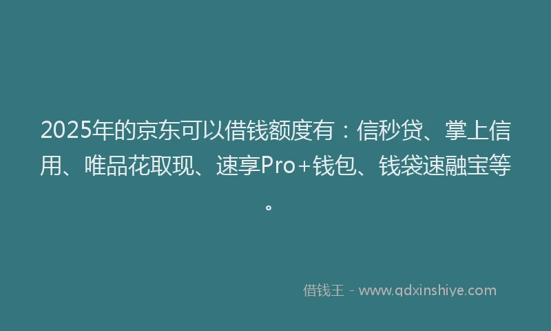 2025年的京东可以借钱额度有：信秒贷、掌上信用、唯品花取现、速享Pro+钱包、钱袋速融宝等。