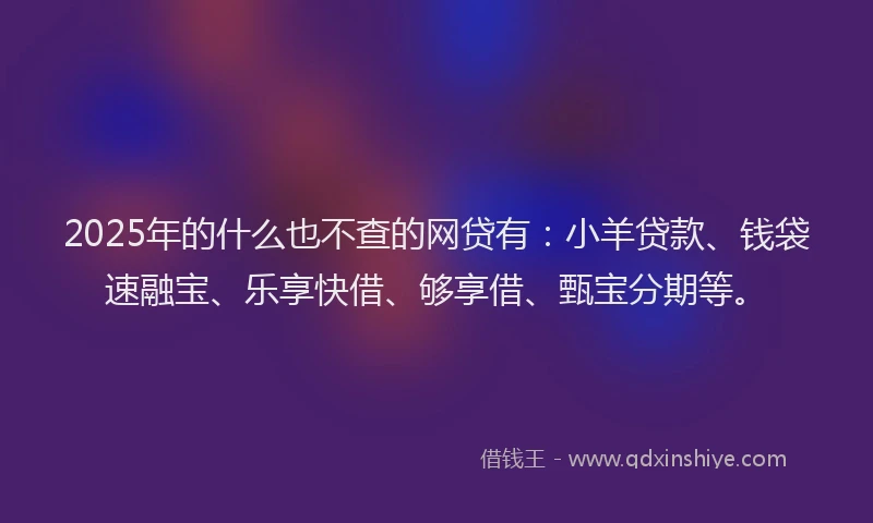 2025年的什么也不查的网贷有：小羊贷款、钱袋速融宝、乐享快借、够享借、甄宝分期等。
