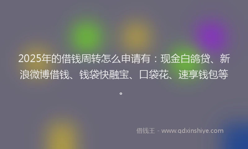 2025年的借钱周转怎么申请有：现金白鸽贷、新浪微博借钱、钱袋快融宝、口袋花、速享钱包等。
