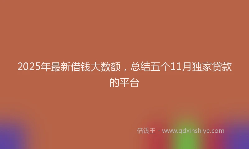 2025年最新借钱大数额，总结五个11月独家贷款的平台