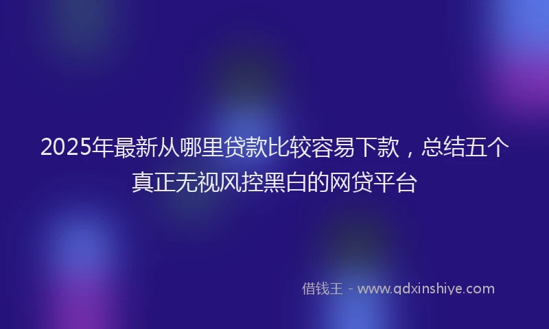 2025年最新从哪里贷款比较容易下款，总结五个真正无视风控黑白的网贷平台