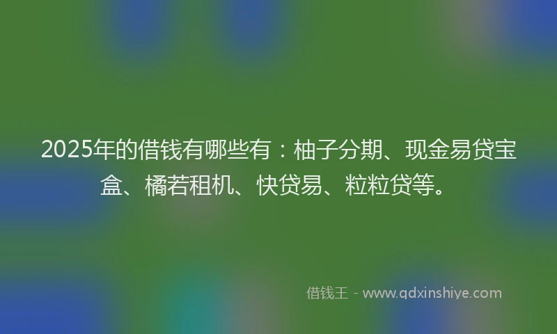 2025年的借钱有哪些有：柚子分期、现金易贷宝盒、橘若租机、快贷易、粒粒贷等。