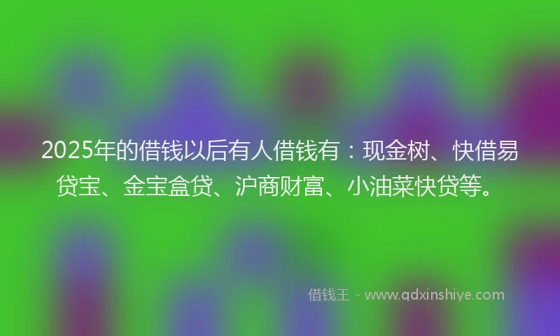 2025年的借钱以后有人借钱有：现金树、快借易贷宝、金宝盒贷、沪商财富、小油菜快贷等。
